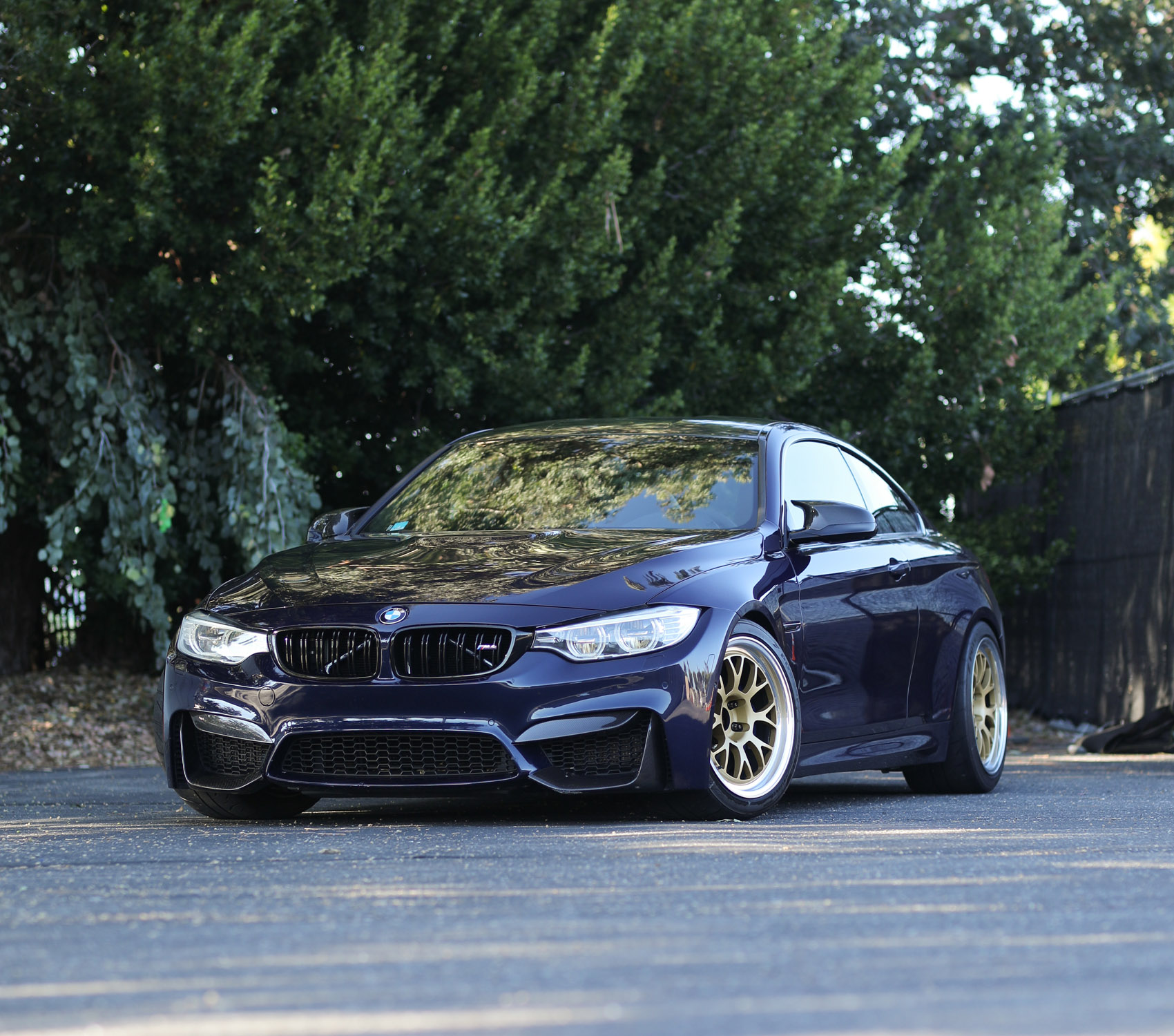 F82 M4 Tanzanite with Race Gold A08R